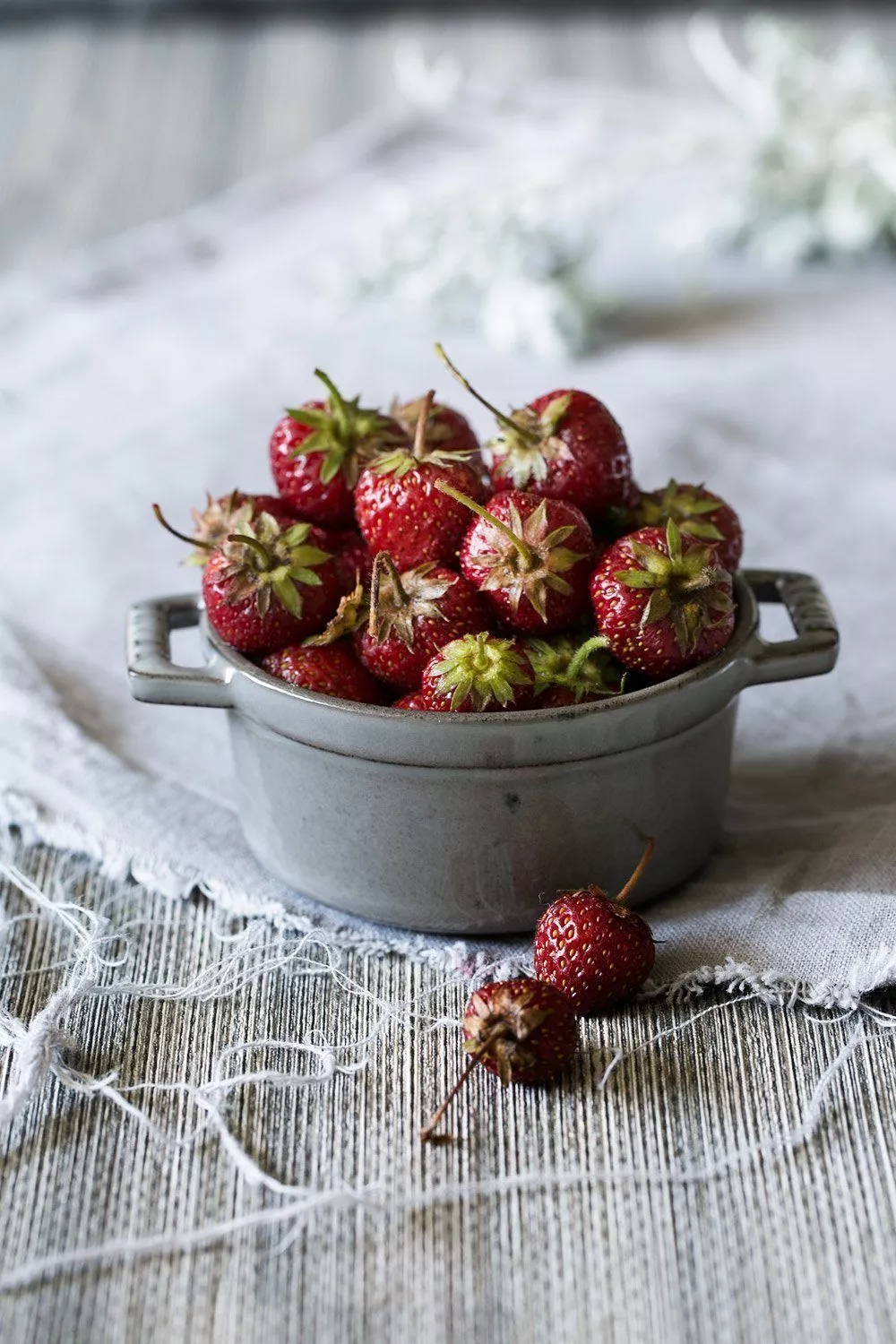 1Erdbeeren
