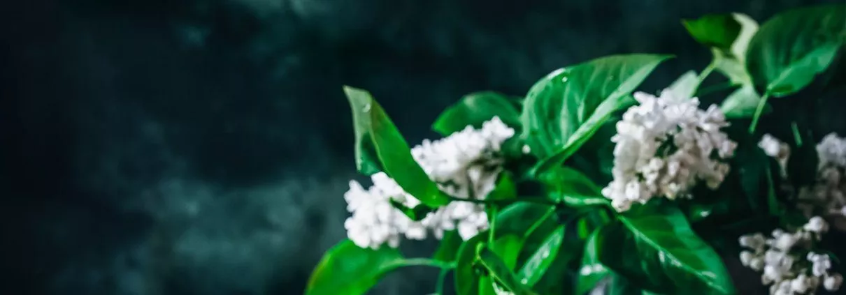 Wie klingt das? Milchreis, Erdbeeren und der Rest erledigt der Kühlschrank? Ich finde, das klingt herrlich. Ich wünsche Euch von Herzen ein sonniges Wochenende und eine entspannte Zeit – nur für Euch.