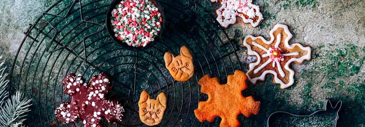 Lebkuchen-Kekse Seien wir mal ehrlich: Ohne Lebkuchenkekse ist die Keksdose nur halb so schön, oder? Anstelle von Lebkuchenmännchen, wird der Lebkuchenteig bei mir noch mit anderen Motiven ausgestochen. Französische Bulldoggen (ihr kennt ja Philip Frederick und Theobald bereits) sind bei mir ebenso beliebt wie Esel und Kamele (auf die Keksausstecher bin ich besonders stolz). Und auch der Teig wird ein wenig mit gemahlenem Kaffee (aus meinen Lieblingsbohnen der Jacobs Röstung des Jahres Crema Mild) verfeinert. Das gibt den Keksen einen extra karamelligen Geschmack. Zutaten für 50 Kekse 250 g Honig 125 g brauner Zucker 80 g Butter 500 g Weizenmehl 2 TL Lebkuchengewürz 1 EL fein gemahlene Kaffeebohnen (Jacobs Röstung des Jahres Crema Mild) 1 Ei 1 EL Pottasche 2 EL Wasser Honig und braunen Zucker über einem Wasserbad unter Rühren erhitzen, bis sich der Zucker vollständig aufgelöst hat Butter unterrühren und abkühlen lassen Mehl, Lebkuchengewürz, Kaffee vermengen Mehlmischung unter die Honigmischung rühren Pottasche in Wasser auflösen und unterrühren Ei unterrühren Teig abgedeckt im Kühlschrank über Nacht ruhen lassen Backofen auf 200 Grad Ober-Unterhitze vorheizen Teig verkneten, ausrollen und mit Keksausstechern Figuren ausstechen, auf ein mit Backpapier ausgelegtem Backblech legen und 6-10 Minuten backen, auskühlen lassen Nach Lust und Laune mit Glasur aus Puderzucker und Wasser verzieren