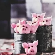 Oink, oink… schenk ein bisschen Glück mit den süßen Meringue-Glücksschweinchen. Die sind flott gemacht, du brauchst wenig Zutaten und sind wirklich eine schöne Geschenkidee. Und Glück können wir doch alle gebrauchen …