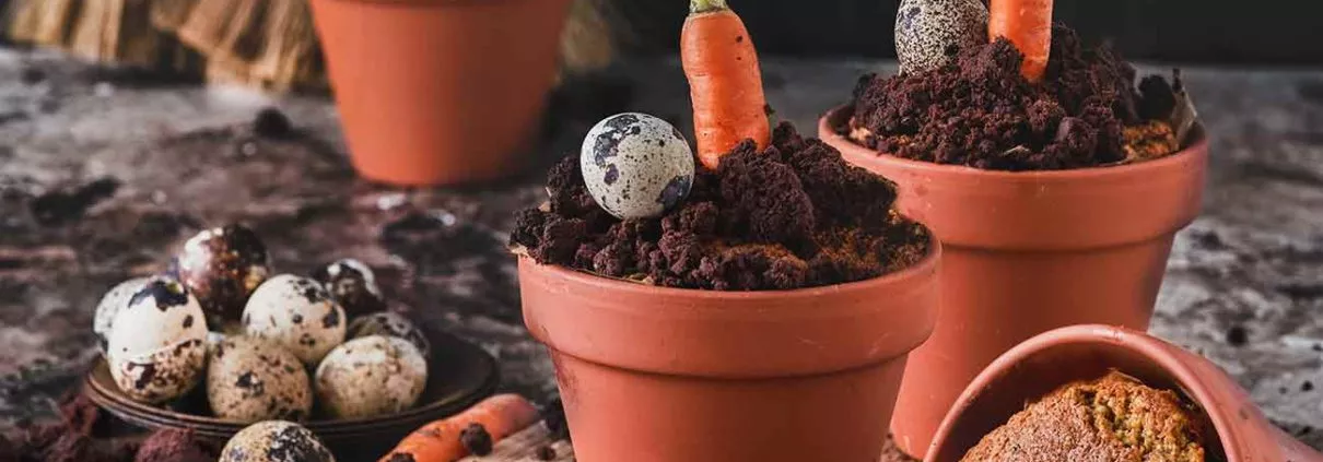 Hach, das hat mir mal richtig Spaß gemacht so in der Kakao-„Blumenerde“ zu wühlen und die kleinen Karotten in die „Erde“ zu stecken. Ich finde, dass dies die perfekten kleinen Küchlein zu Ostern sind.