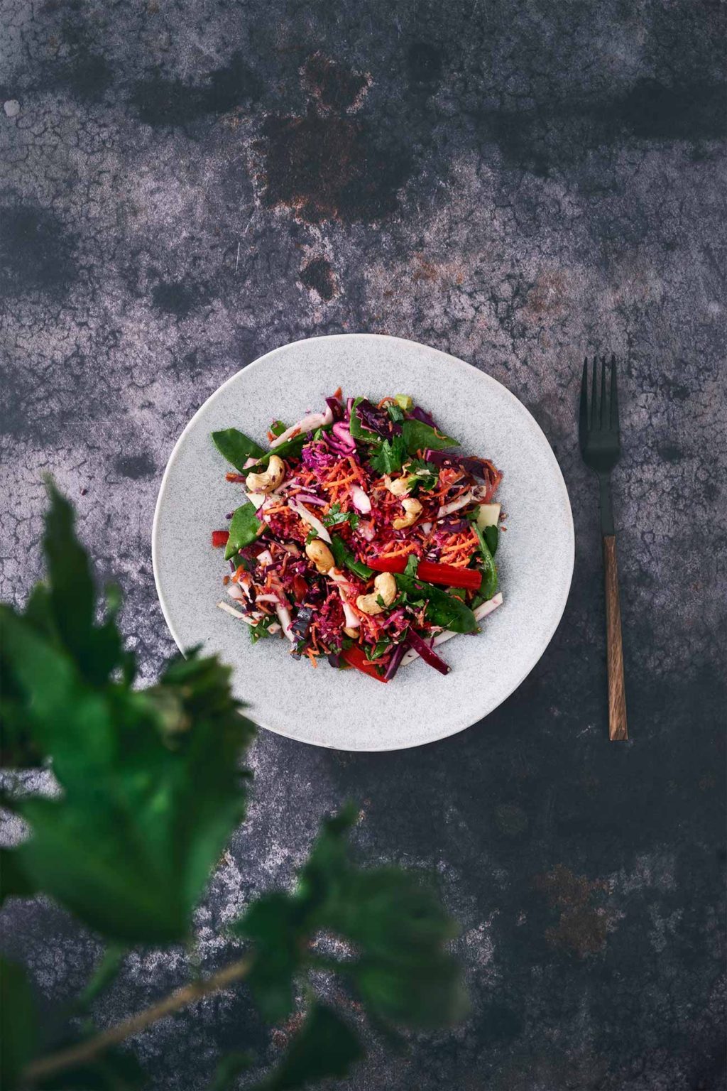 Asiatischer Salat - Patrick Rosenthal