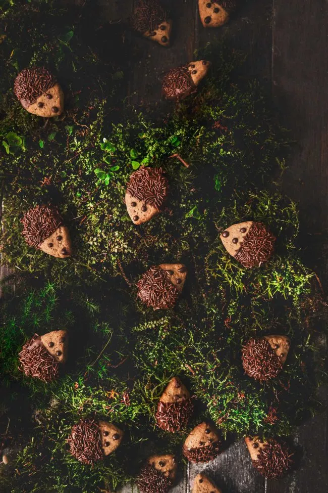 Kleine Maronen Lebkuchen Igel I Rezept