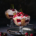 Kirsch-Tiramisu im Glas – der Sommerflirt unter den Desserts