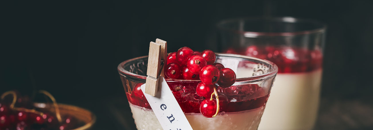 Weiße Schokolade Panna Cotta mit Johannisbeer Sauce