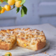 Einfacher Mirabellen-Puddingkuchen